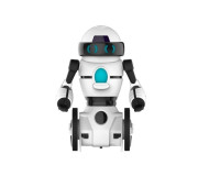 Interactive toys