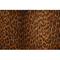 Samolepljiva tapeta - leopard dezen