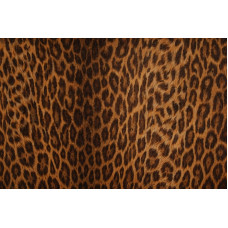 Samolepljiva tapeta - leopard dezen